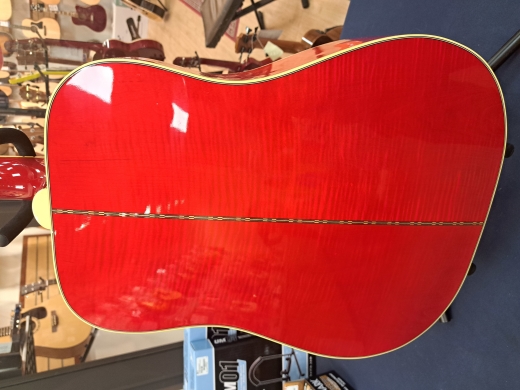 Store Special Product - Gibson Dove